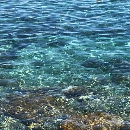 Mare E Cavalli * Chiappa (Imperia)