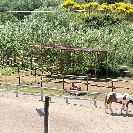 Lägenhet Mare E Cavalli *